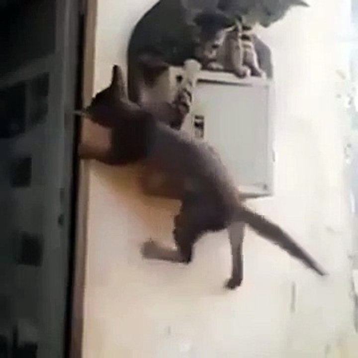 Latest Indian Funny Videos Compilation 2016 - Indian Whatsapp Videos - Videos De Risa 2016 (26)