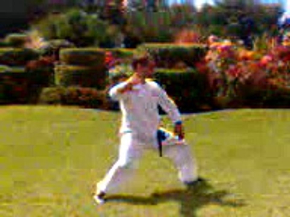 Tai Chi Chuan - Taijiquan Chen 19 form