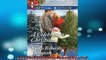 READ book  A Celebration Christmas Celebrations Inc  FREE BOOOK ONLINE