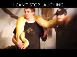 Sneaky snake share video