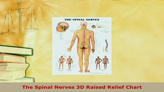 Download  The Spinal Nerves 3D Raised Relief Chart  Read Online