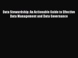 Download Data Stewardship: An Actionable Guide to Effective Data Management and Data Governance