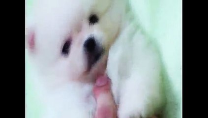 유성건마Ϣelcome✌밤포유［bam4u❽com］유성핸플び유성안마〖유성휴게텔〗유성오피방