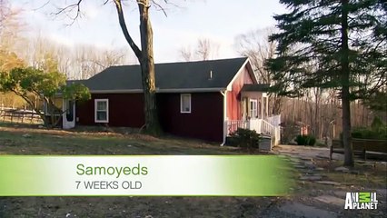 선릉핸플⇔강남핸플〖ＢＡｍ４U８￢ＣＯＭ〗영등포안마∬논현오피∬부산건마∬부산키스방