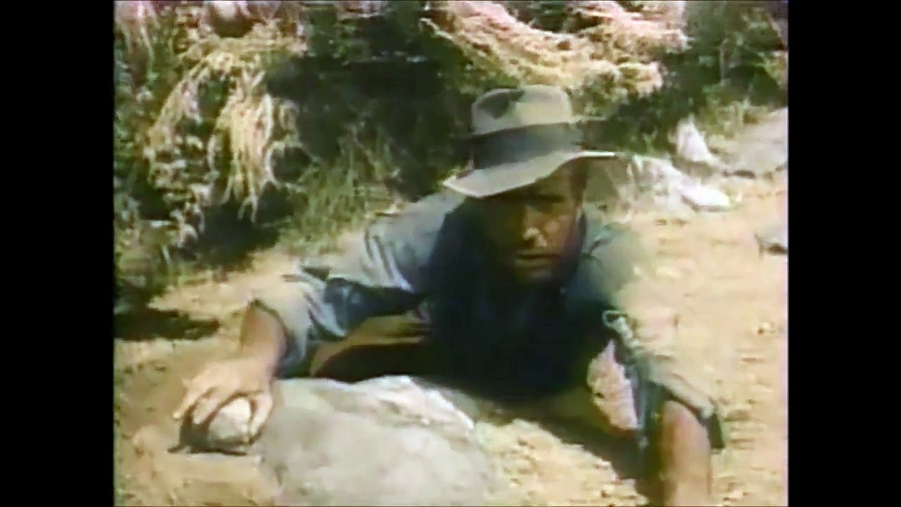 The Treasure of the Sierra Madre 1948, Gold!  Dumber Than the Dumbest