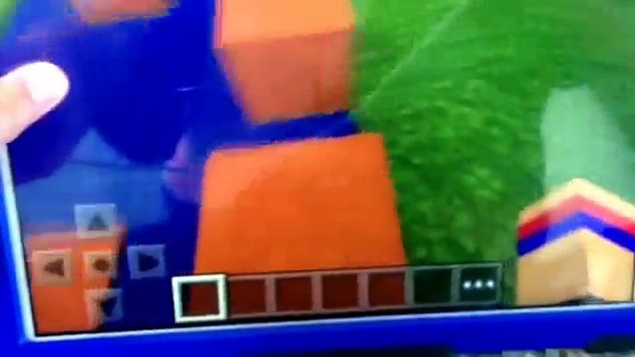 Zexy zek