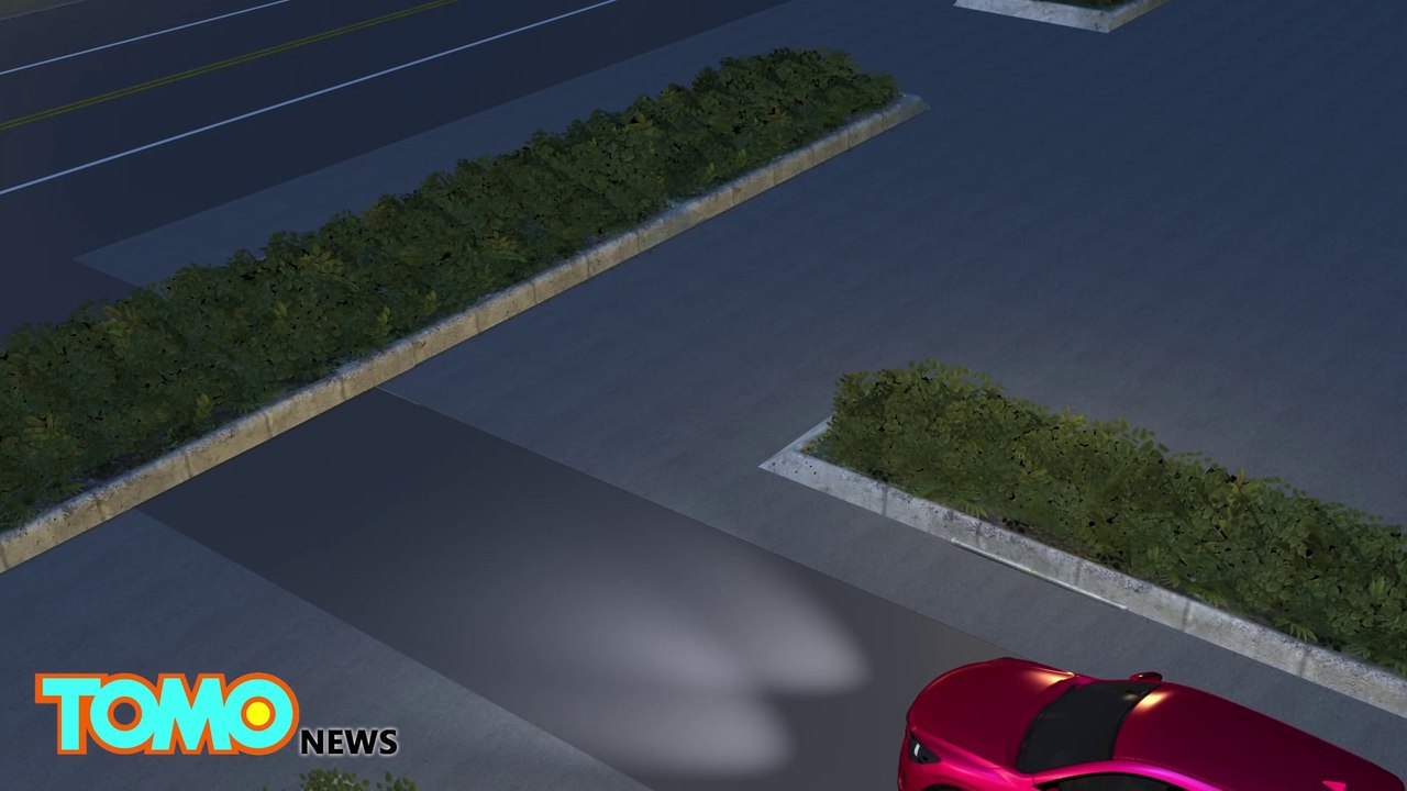 Florida stripper tries eats shirt during drunk driving arrest
