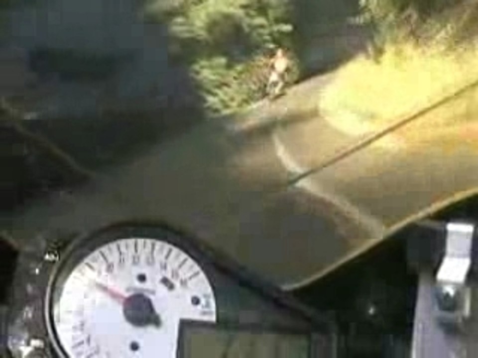 Accident biche