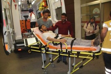 Yılana Ateş Etti, Kendini Yaraladı