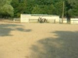 laurence galop 4 avec ptit louis dressage