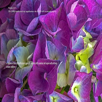 Christian song SABSE PYARE SABSE MEETHA TERA NAAM YESHU