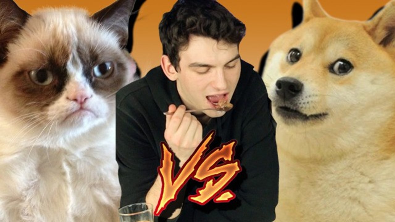 Co smakuje lepiej - KOCIE czy PSIE jedzenie?