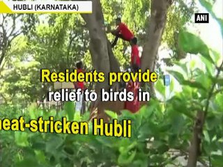 Residents provide relief to birds in heat-stricken Hubli