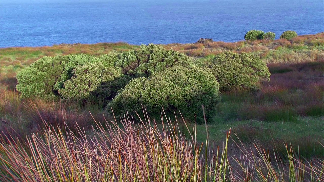 La réserve naturelle nationale des Terres australes françaises