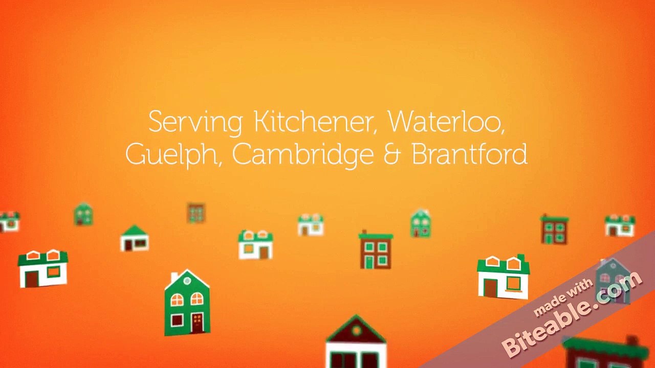 Wildlife Removal & Animal Control (raccoon, rat, skunk, opossum, chipmunks, birds) in Kitchener & Waterloo