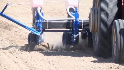 Pamuk Destek Fiyatının Erken Açıklanması Talebi