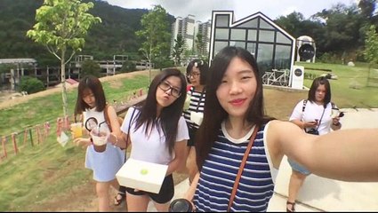 龟蜜之旅 2904-0105/16