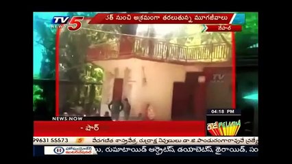 Worlds Biggest Animal Sacrifice Ritual - Gadhimai Festival