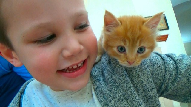 Кошечка Мурка покупаем питомца Максу и Кате ВЛОГ 2016 на рынке животных новое видеоKitten pet for Mister Max