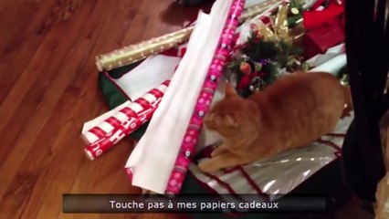 NEW Epic Funny Fail Win Compilation PART 80