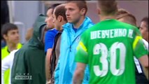 Зозуля напал на судью, послематчевая драка - Заря - Днепр 2-0