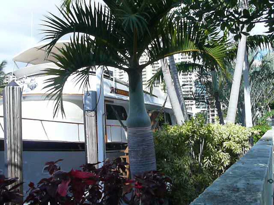 PORT E 032 P1080948