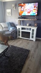 Dallas does not like the Golden Girls