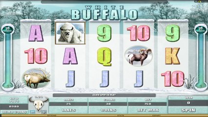 White Buffalo ilmainen kasino kolikkopeli Microgaming Video Esikatselu