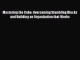Download Mastering the Cube: Overcoming Stumbling Blocks and Building an Organization that