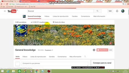 Cómo comprobar CPM Tarifa del anuncio en su canal de YouTube