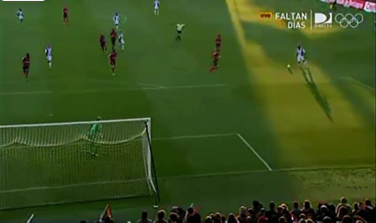 Alassane Plea Goal - Guingamp 0 - 1 Nice 14.05.2016