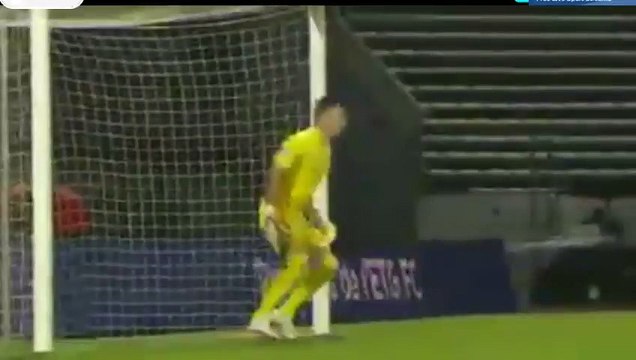 Kevin Hoggas Goal HD - Evian TG 1-1 Nimes - 13-05-2016