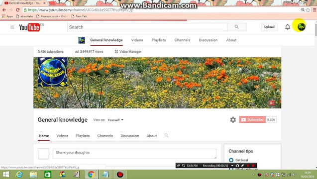 How To Check or Set Google Ads Settings on Your YouTube Channel