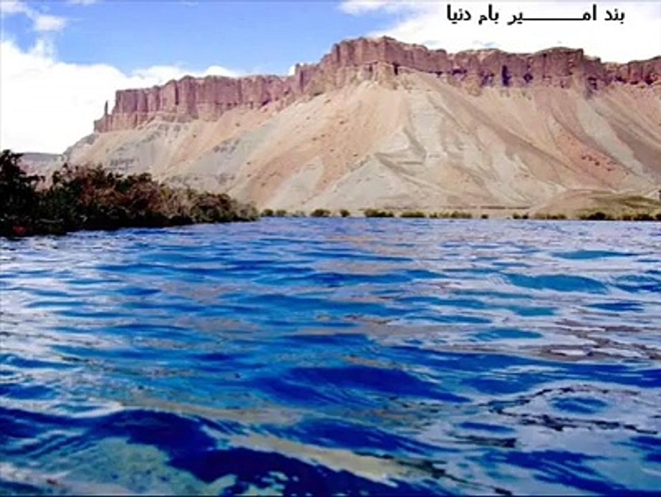 zia  sultani