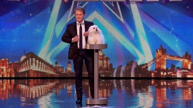 Marc Métral and his talking dog Wendy wow the judges ¦ Audition Week 1 ¦ Britain's Got Talent 2015