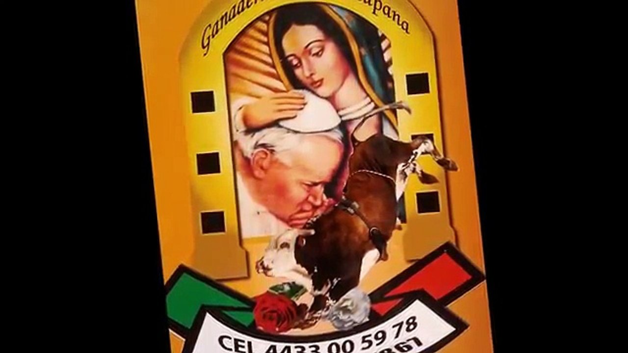 GANADERIA LA GUADALUPANA DE TOÑO OCHOA