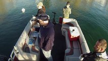 Sweet Melissa Fishing Charters - 4.1 lb -  26 inch  - Pickerel   Canandaigua Lake