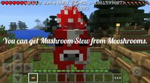 Minecraft PE -5 Facts you may not know about Minecraft! | Star6TEEN