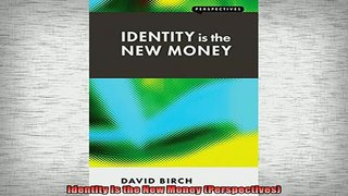 READ book  Identity Is the New Money Perspectives Free Online