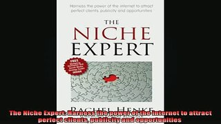 READ book  The Niche Expert Harness the power of the internet to attract perfect clients publicity Full Free