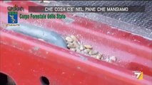 Cosa C’è Nel Pane Che Mangiamo? Reportage Shock! (VIDEO)