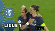 But Zlatan IBRAHIMOVIC (89ème) / Paris Saint-Germain - FC Nantes - (4-0) - (PARIS-FCN) / 2015-16