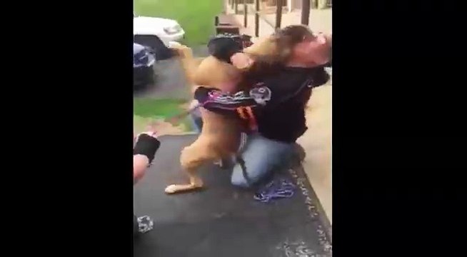 Пёс нашёлся спустя 2 года после пропажи