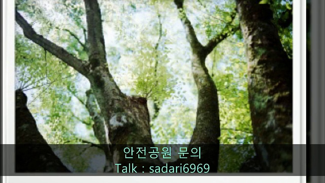 #안전놀이터 #안전놀이터추천 #메이저놀이터 #메이저놀이터추천 #안전공원 #안전공원추천 #토토사이트 #토토사이트추천 #사설사이트 #놀이터추천