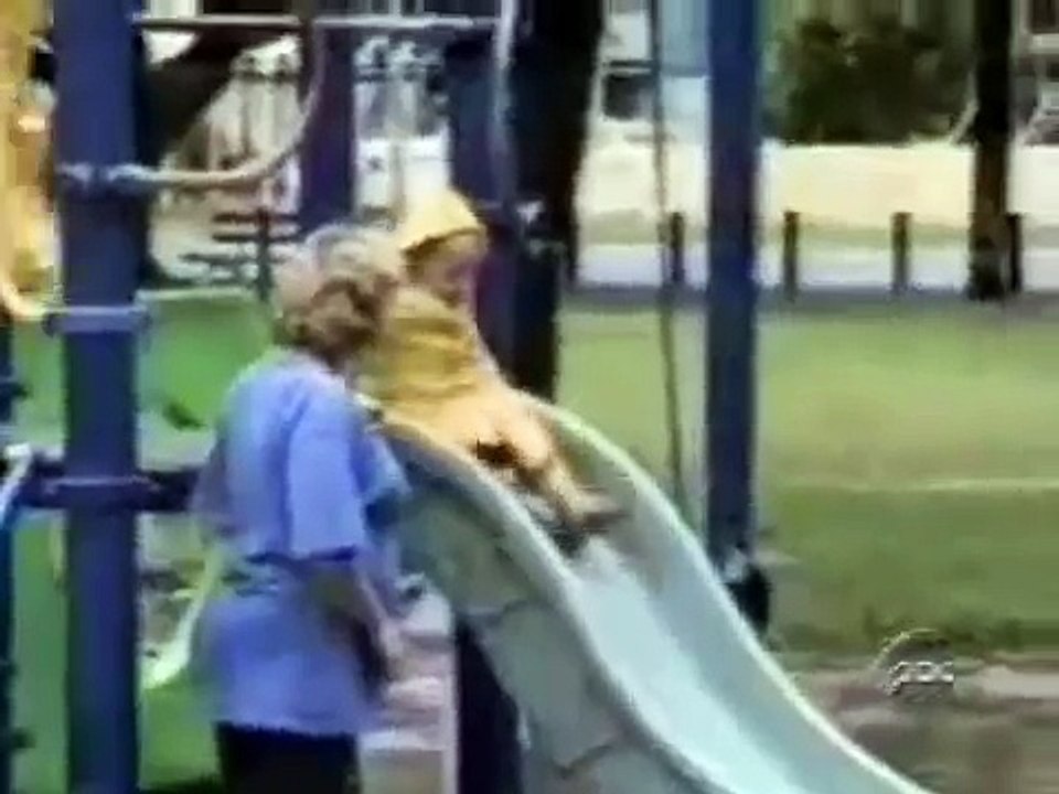 Funny Video