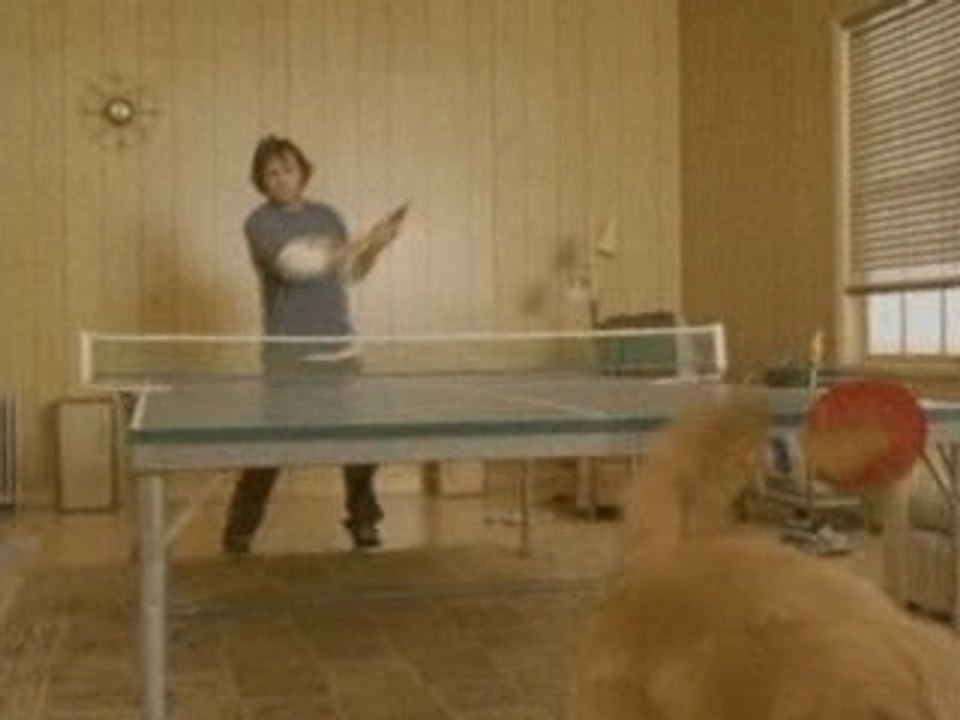 Pingpong