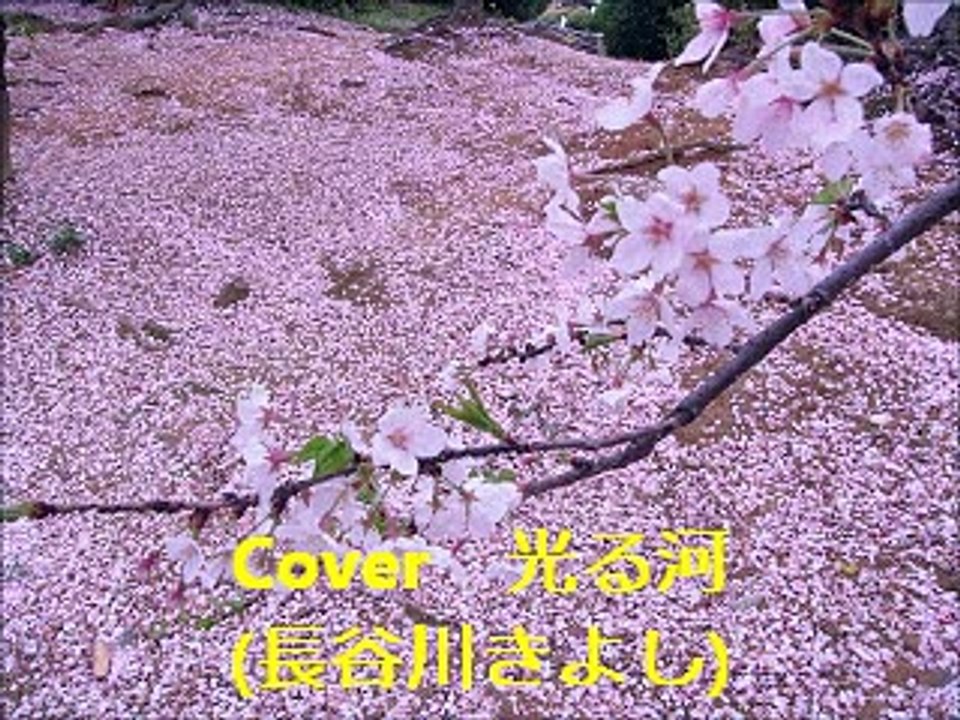 cover 【光る河】 長谷川きよし / By Sima