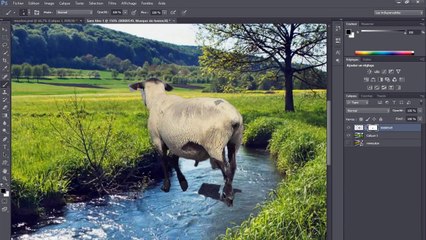 Quelques Mots à Ma Plume : Episode 15 : Brebis Égarée, Très Vite Attaquée