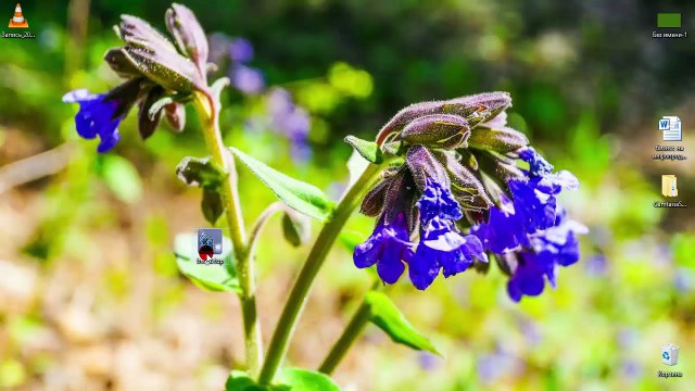 Программа Болайд Слайд-Шоу Креатор