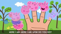 Peppa Pig|Peppa Pig Magic Garden Flowers Finger Family Song!ABC Song Bus Song New 2016